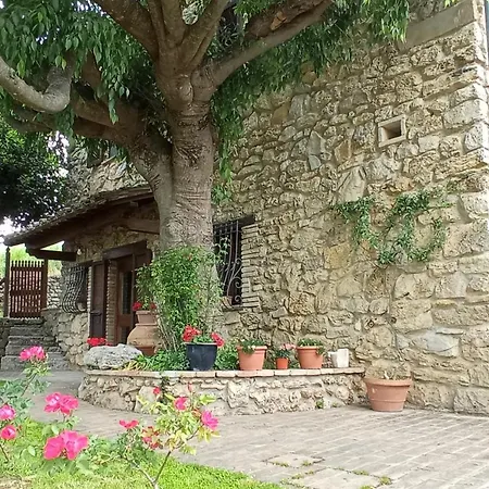 Guest house All'ombra Di San Damiano