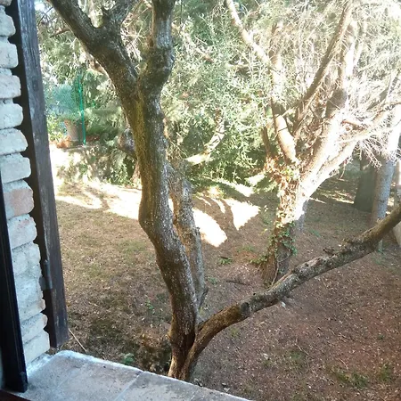 All'ombra Di San Damiano Assisi