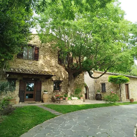 All'ombra Di San Damiano Guest house 2*