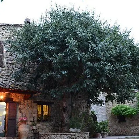 Guest house All'ombra Di San Damiano